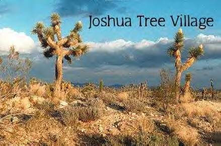 Joshua Tree Village Graphic